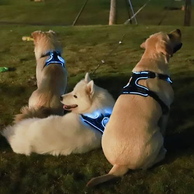No Pull Dog Harness, KABIKIU Light up Dog Harness There Are 3 Light Modes with Control Handle and Reflective Strap, Adjustable Breathable Dog Vest Suitable for Small, Medium, Large Dogs(S)