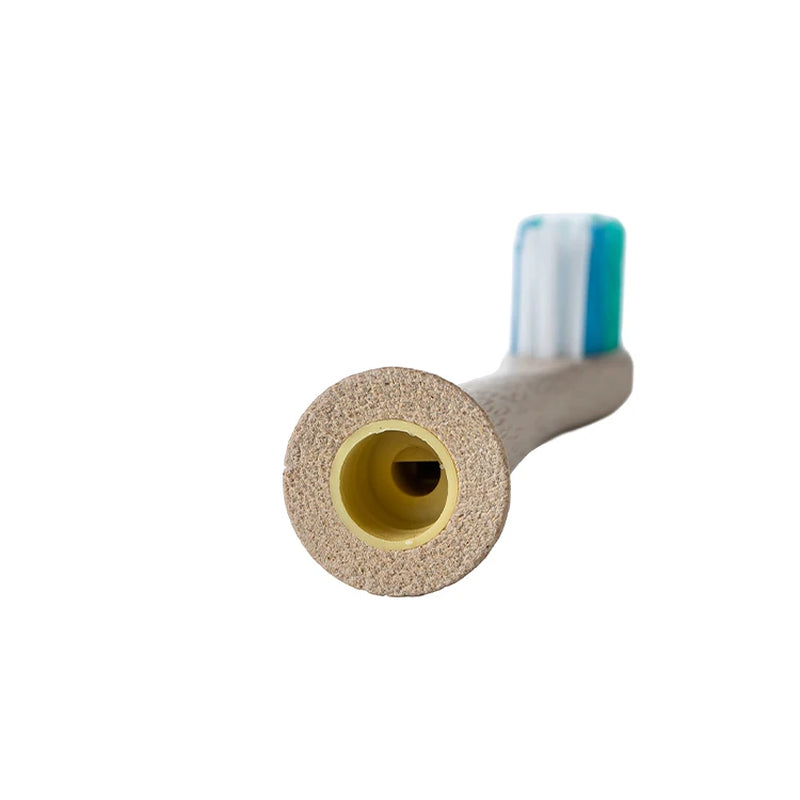 Zhijiance Certificate Eco- Friendly Biodegradable Brush Head Electrical Bamboo Electric Toothbrush Bamboo Toothbrush Electric